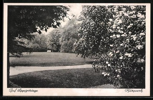 Ansichtskarte bad lippspringe - bad,