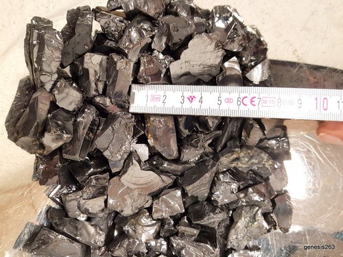 Elite edel schungit - schungit, (100g)