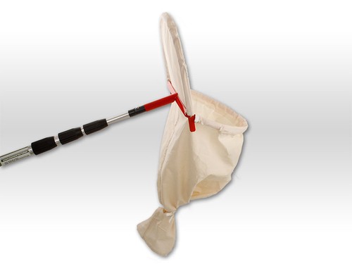 Axis line bienenschwarm - line,