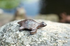2 Gusseisen Schildkröten