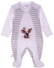 Strampler und Langarmshirt