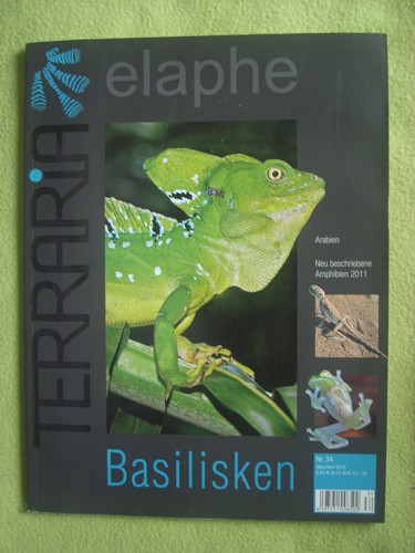 Terraria elaphe basilisken - elaphe,