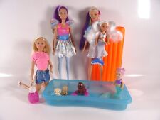Kleines Barbie-Konvolut 5 Puppen + Zubehör aus verschiedenen Spielsets (17703)