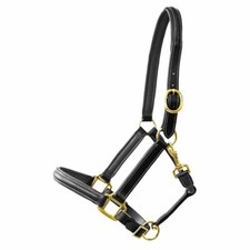 Lederhalfter Exquisit super