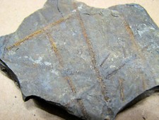 Bornholm DK Gesteinsammlung