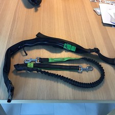 Joggingleine für Hunde bis 55