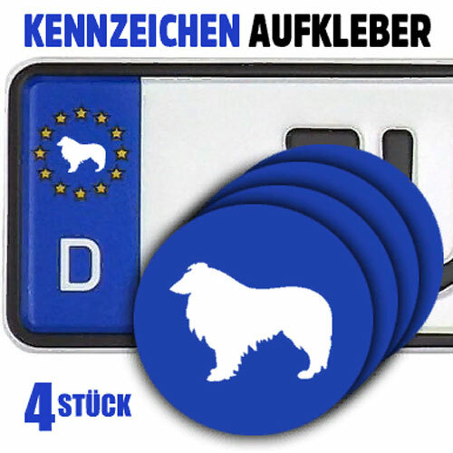 Collie hunderasse hunde - collie,