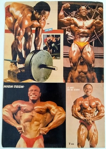American body builder lee - body,