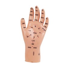 Schaufensterpuppe Handmodell