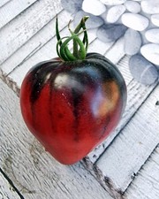 10+ Samen Tomate Stg. Pepper Sergeant Pepper Herztomate Tomaten Ochsenherz