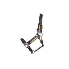 Lederhalfter mit individueller Gravurmöglichkeit, hochwertig, komfortabel braun