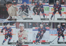 DEL Playercards 2024/2025 24/25 Nürnberg ice Tigers Einzelkarten zum aussuchen