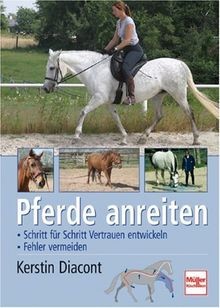 Pferde anreiten schritt für - pferde,