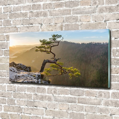 Wandbild aus plexiglas - wandbild, druck