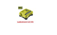 Ryobi Schnell Ladegerät 36 V