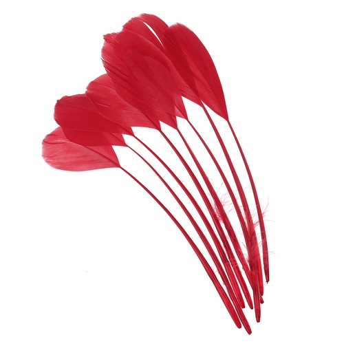 Gänse federn 50 pack - 6-8",
