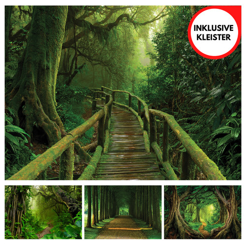 Wald weg natur - wald,
