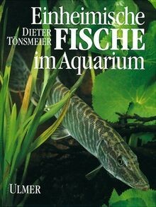 Einheimische fische - fische, im