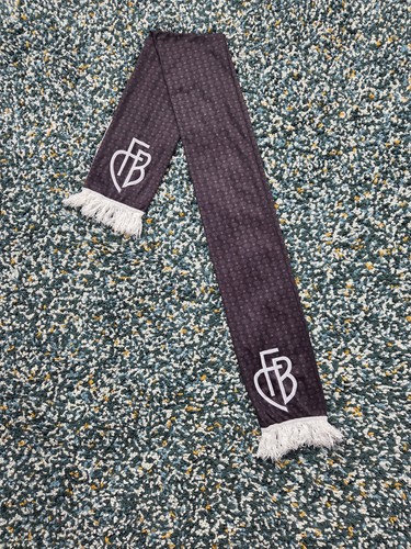 Basel 1893 fussball - fc,