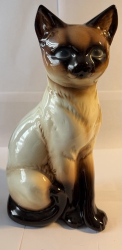 Große goebel siam katze - siam,