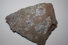 Wavellit Třenice, CZ (ES 35 )