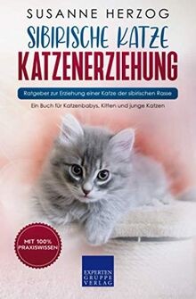 Sibirische katze - sibirische,