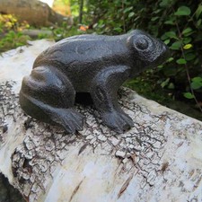 Frosch Frösche Kröte