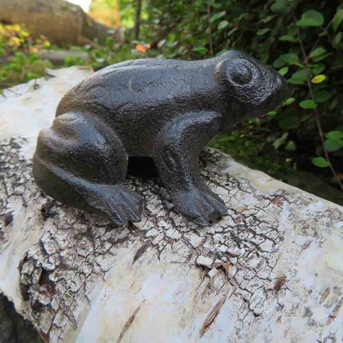 Frosch frösche kröte - frösche,