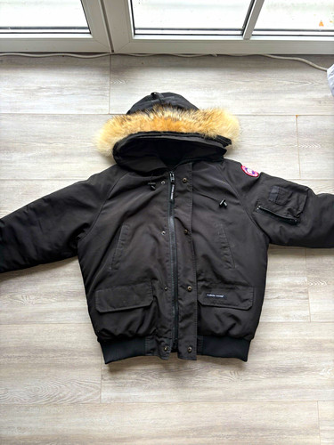 Canada goose jungen - goose,