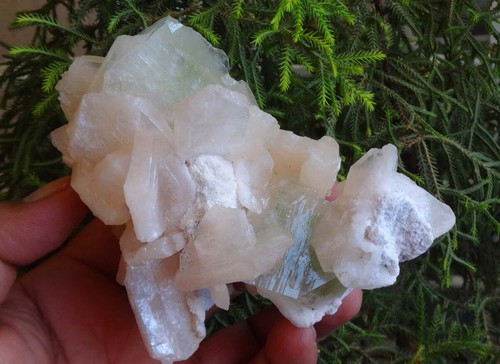 Apophyllit auf stilbit - auf,