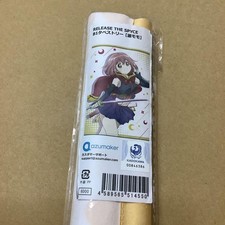 RELEASE SPYCE Momo Minamoto B1