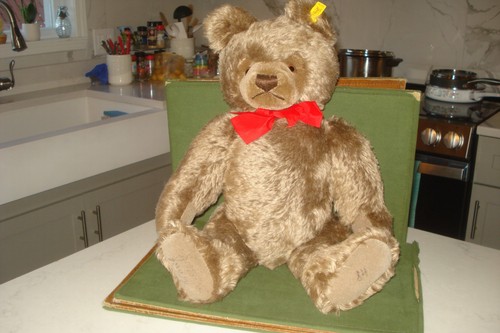 Steiff teddy bear jointed - 5,