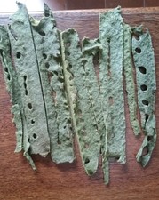 Brazilian Green Propolis 100g