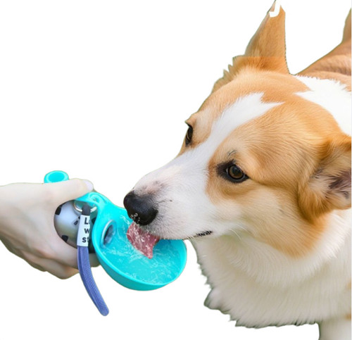 Tragbare hunde trinkflasche - hunde,
