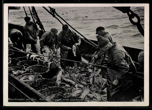 Fischdampfer auf see - fischdampfer, fang