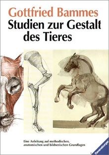 Studien zur gestalt des - studien,