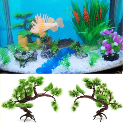 Aquarium wasserpflanzen - aquarium,