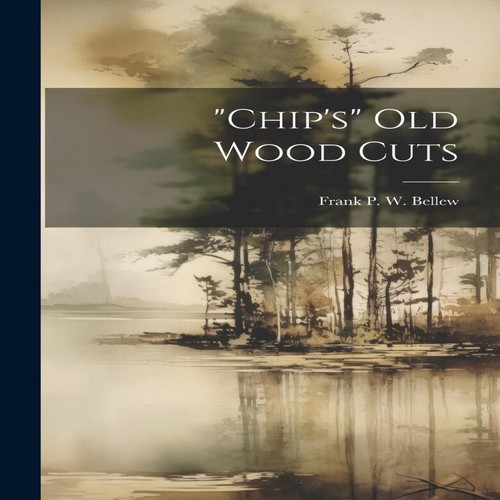 Chip old wood - wood, cuts