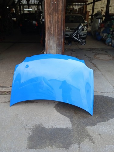 Polo motorhaube - 9n,