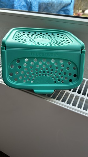 Tupperware kleines lager - kleines, /