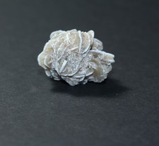 Wüstenrose (Sandrose)