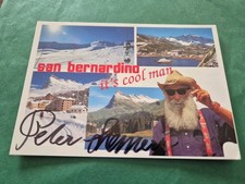 Peter steiner fernsehen - steiner,