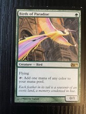 1x Birds of Paradise /