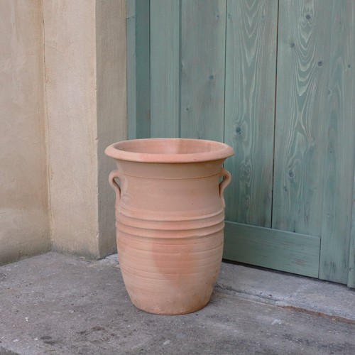 Terracotta amphore cistus - amphore, 2