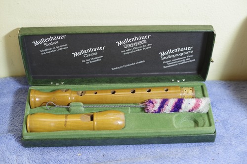 Mollenhauer student - mollenhauer,