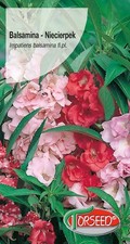 Balsamina (Impatiens)