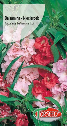 Balsamina - , (impatiens)