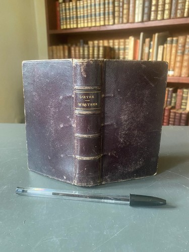 Goethe werther 1892 - goethe,