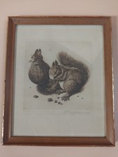 Original radierung nach dürer - original,