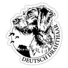 Deutsch Drahthaar Hund Jagdhund Aufkleber Sticker, max. 10 x 10 cm, 10 x 10 cm